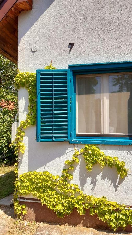 Szalakota Haz Villa Balatongyörök Екстериор снимка