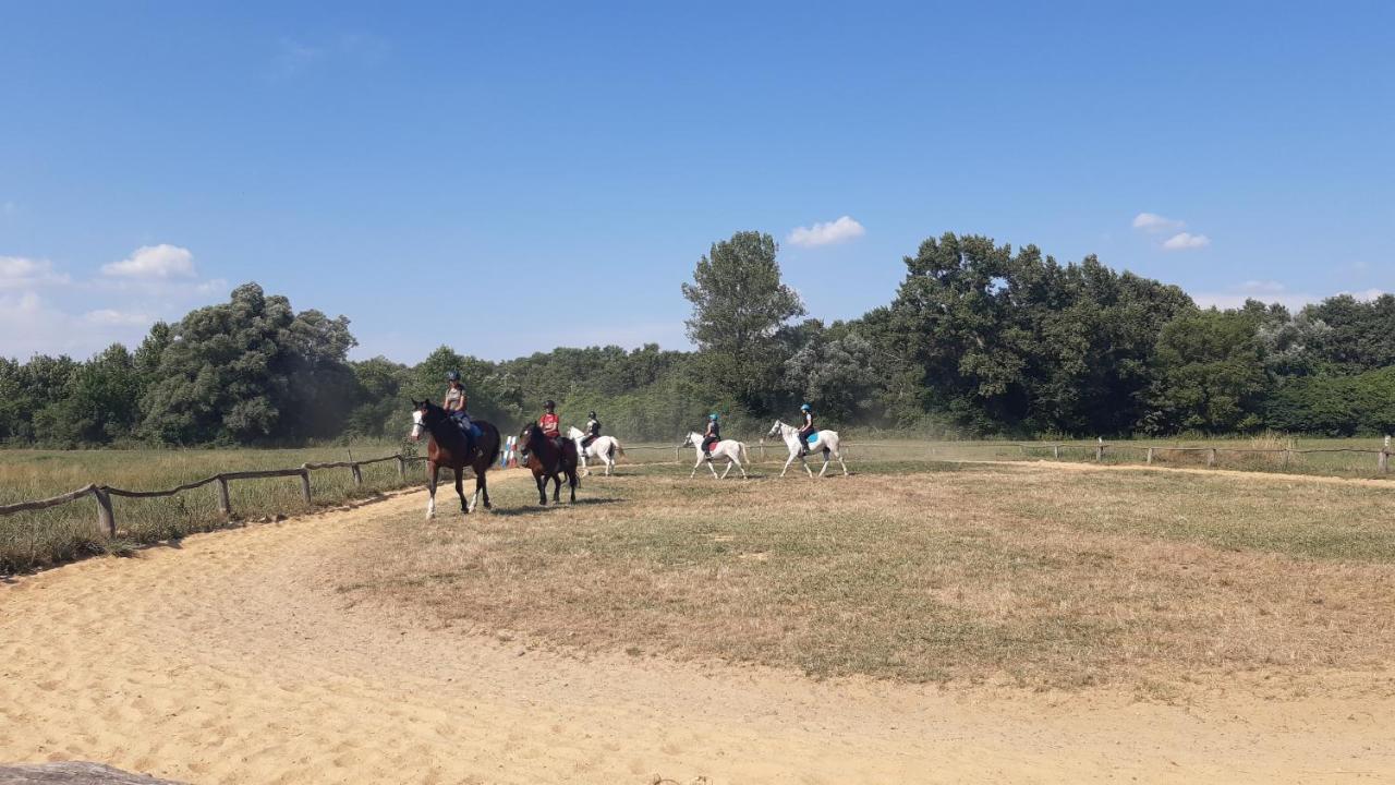 Szalakota Haz Villa Balatongyörök Екстериор снимка